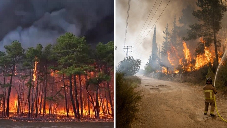 ভয়াবহ দাবানলে পুড়ছে ইসরায়েল-যুক্তরাষ্ট্র