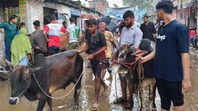 ক্রেতা বিক্রেতাদের খুশি অখুশিতে জমেছে পশুর হাট