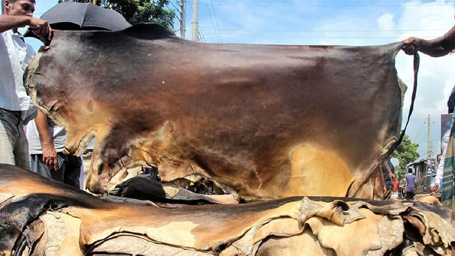 মিলছে না চামড়ার কাঙ্ক্ষিত দাম