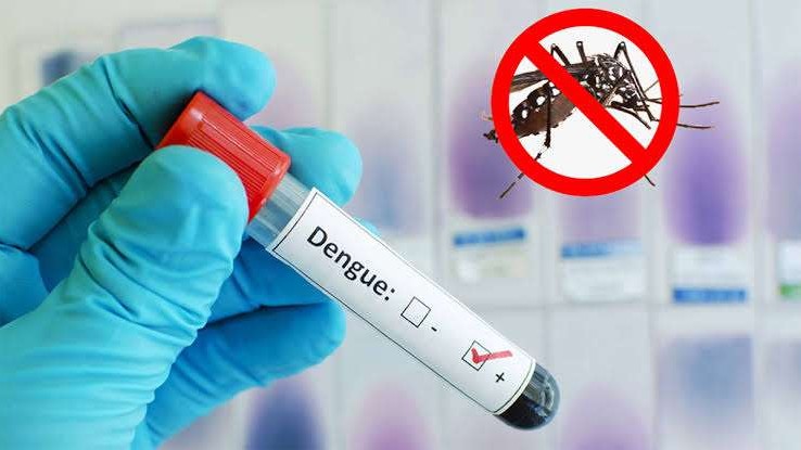 ২৪ ঘন্টায় সারাদেশে ২৮৮ জন ডেঙ্গুতে আক্রান্ত