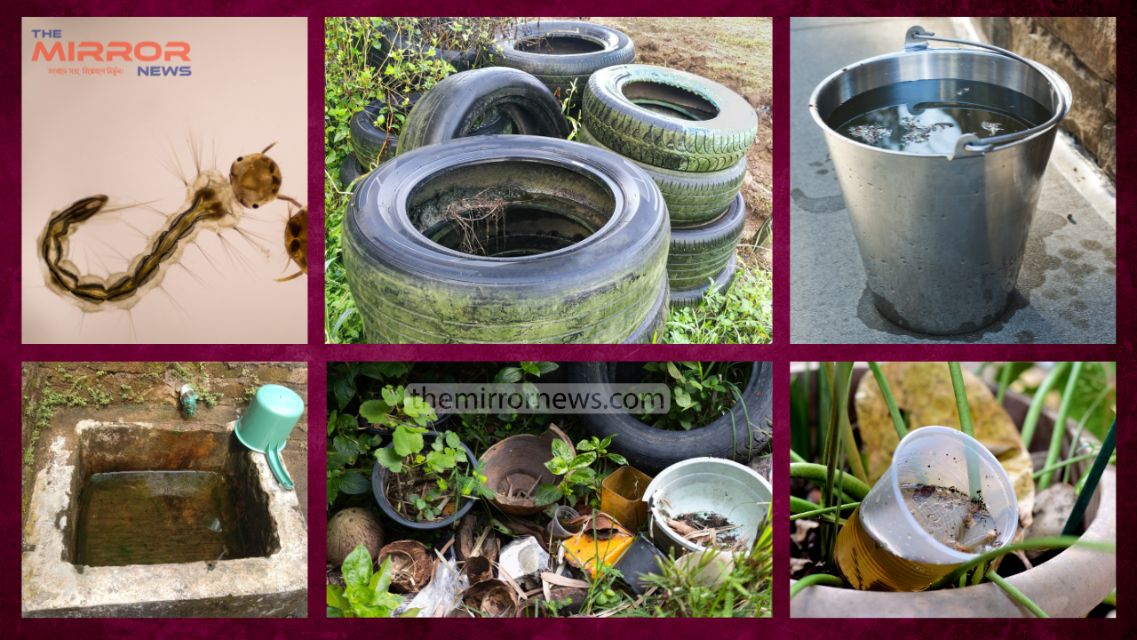 ডেঙ্গুতে একজনের মৃত্যু ভর্তি ৩৯১