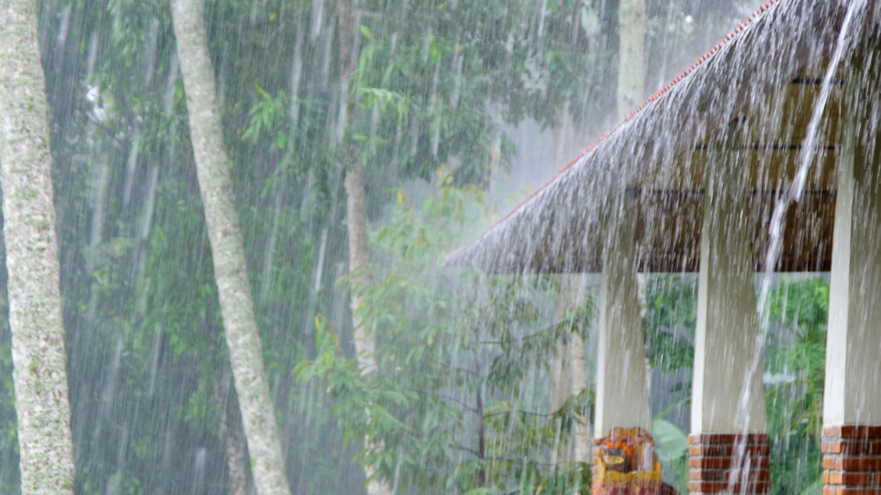 আগামী ৫ দিনে ভারি বৃষ্টির পূর্বাভাস দিয়েছে আবহাওয়া অফিস