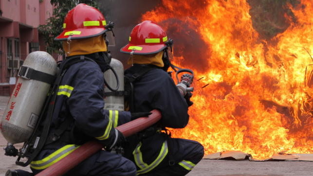 মিরপুরে বহুতল ভবনে আগুন