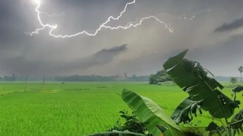 সুনামগঞ্জে বজ্রপাতে প্রাণ গেল পাঁচ কৃষকের