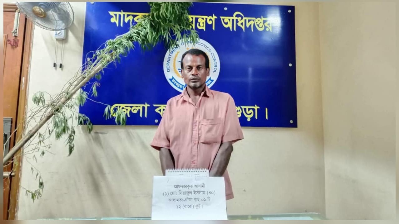 পারিবারিক কবরস্থানের আড়ালে গাঁজা চাষ, গ্রেপ্তার ১