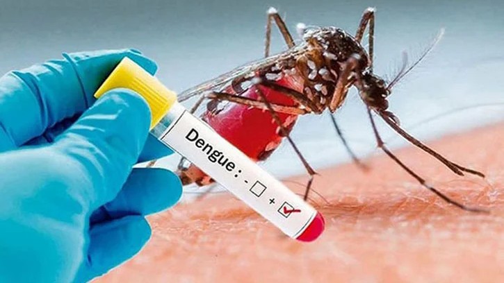 ডেঙ্গুতে আরও একজনের মৃত্যু, হাসপাতালে ৮৭০