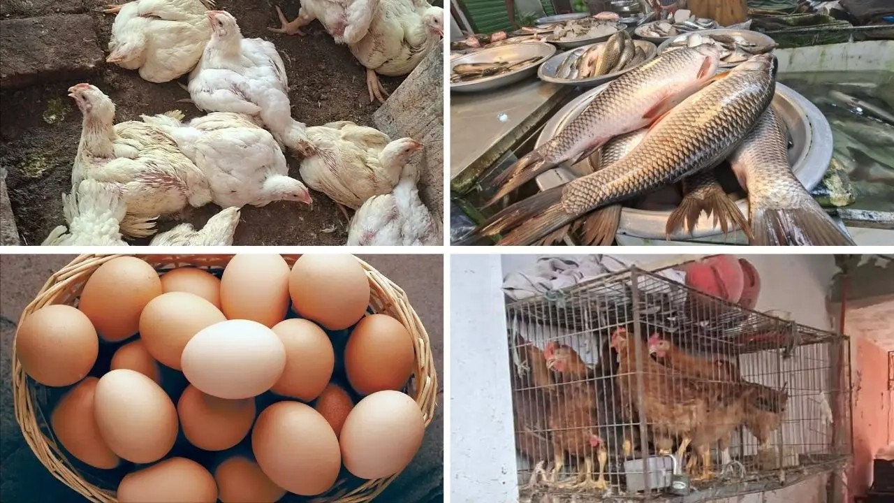 মাছ-মুরগি-ডিমের চড়া দামে হিমশিম খাচ্ছেন ক্রেতারা
