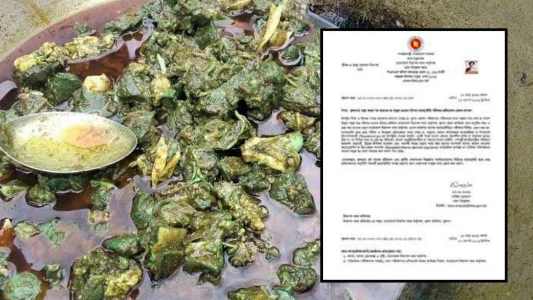 রান্নার সময় ‘সবুজ মাংস’, ল্যাব পরীক্ষায় মিলল সম্ভাব্য কারণ