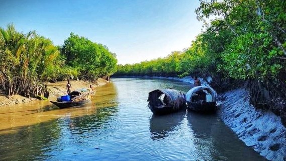 তিন মাসের নিষেধাজ্ঞা শেষে মঙ্গলবার খুলছে সুন্দরবন
