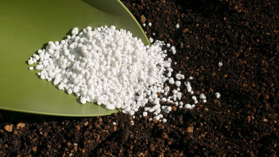 সার সরবরাহে নজরদারি, ৬৪ জেলায় মনিটরিং সেল