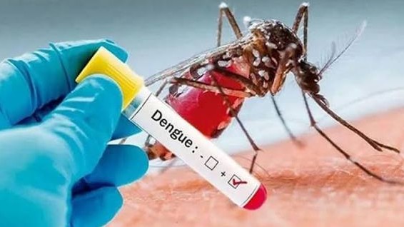 ডেঙ্গুতে একদিনে ৬ মৃত্যু, হাসপাতালে ভর্তি ১,৫৬১