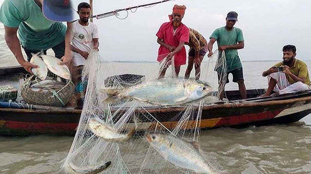 ৮ অক্টোবর থেকে ২২ দিন সারাদেশে ইলিশ আহরণ নিষিদ্ধ