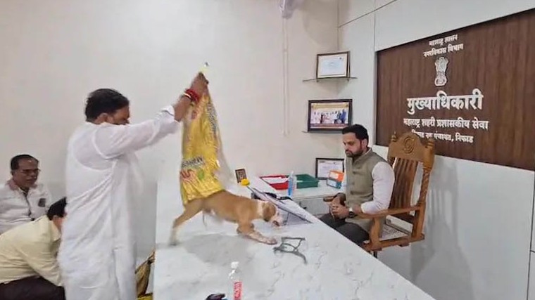 কুকুরের উৎপাতের প্রতিবাদে কর্মকর্তার টেবিলে ৪ কুকুর