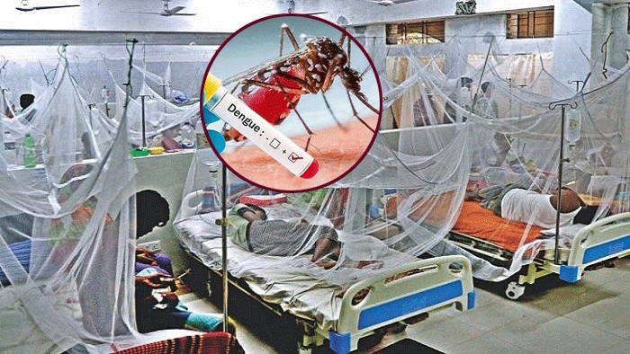 ডেঙ্গুর ছোবলে আরও ২ প্রাণ, হাসপাতালে ভর্তি ১,২৩২