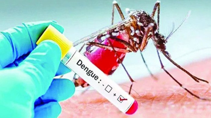 ডেঙ্গুতে একদিনে ৬ মৃত্যু, মোট প্রাণহানি ২৪৫