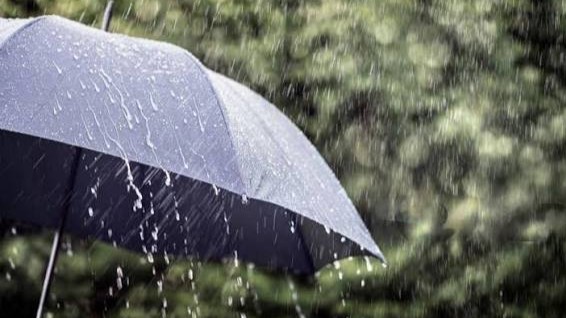 চার বিভাগে বৃষ্টির পূর্বাভাস, কমতে পারে দিন-রাতের তাপমাত্রা